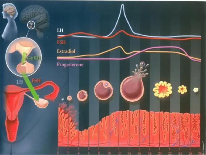 “性成瘾”真的是病吗？难以控制，无法摆脱，就像大脑磕了药