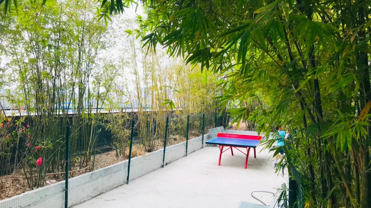 输和赢真的那么重要,输和赢怎么写