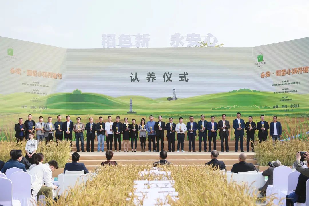 解析全国16个整村运营,解码全国16个整村运营经典案例