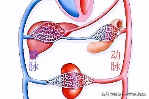 高压高低压低的原因与治疗,低压高110是什么原因啊