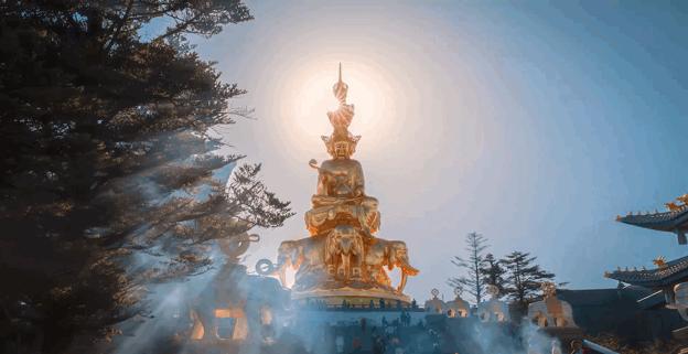 峨眉山猴子被人类击杀,峨眉山猴子被猴王打