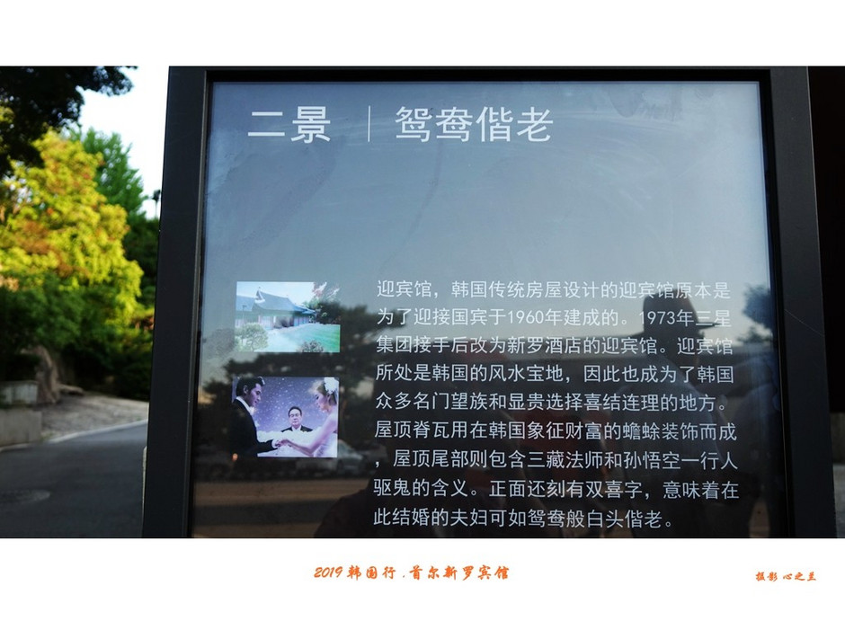 韩国旅游首尔探店攻略,韩国游记首尔宫