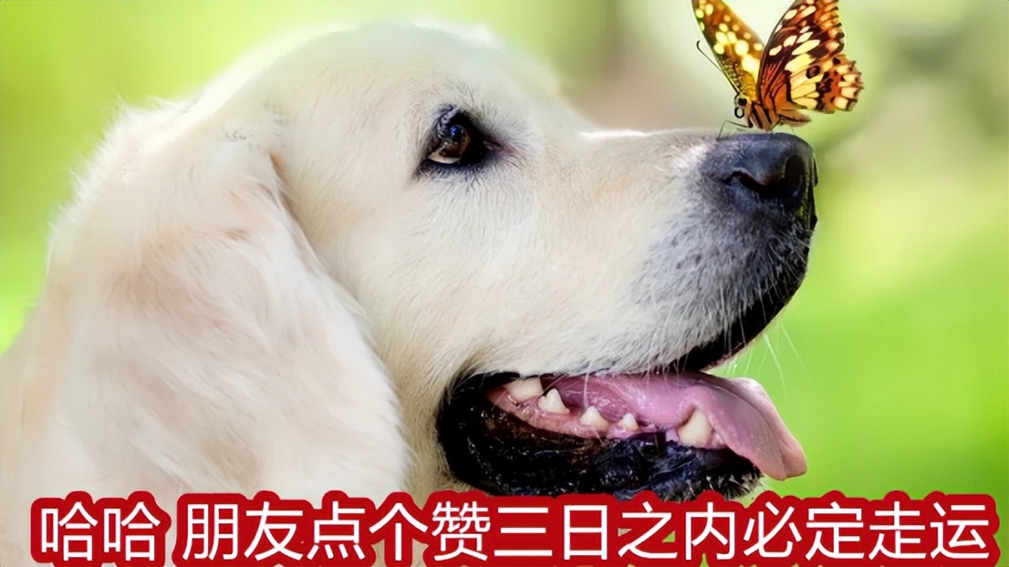 感冒了向女老板请假，原本想发老大，我难受，结果手误发错了