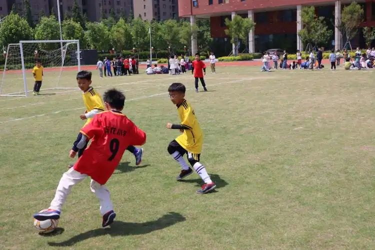 第十一届小学校园杯足球赛,校园足球点燃绿茵