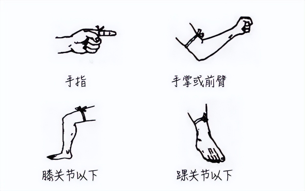 当心蛇出没,夏天蛇多如何防蛇避蛇