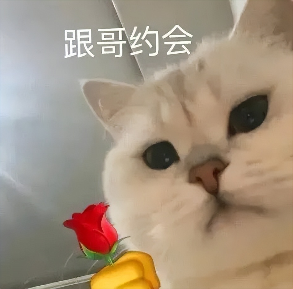 我涉嫌喜欢你表情包,今日任务喜欢你表情包