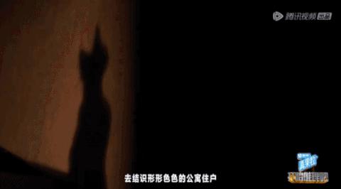 为什么推理综艺给提示这么明显,推理综艺是怎么拍出来的