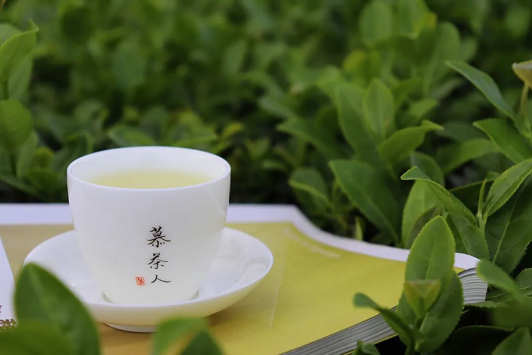 茶具上的茶垢要不要清理,茶具中的釉有毒吗
