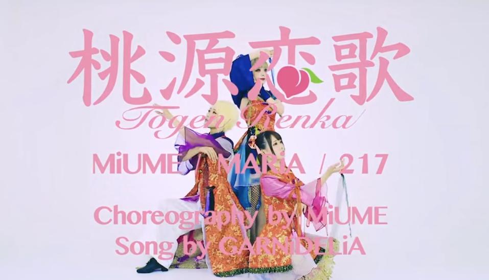 极乐净土为什么受二次元喜欢,极乐净土二次元合集