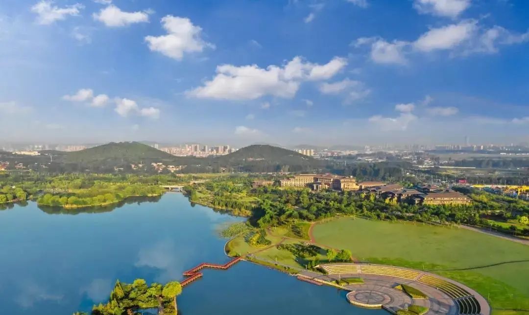 太牛了！45.58亿砸来！6条轨道线路！徐州东区2022全面爆发