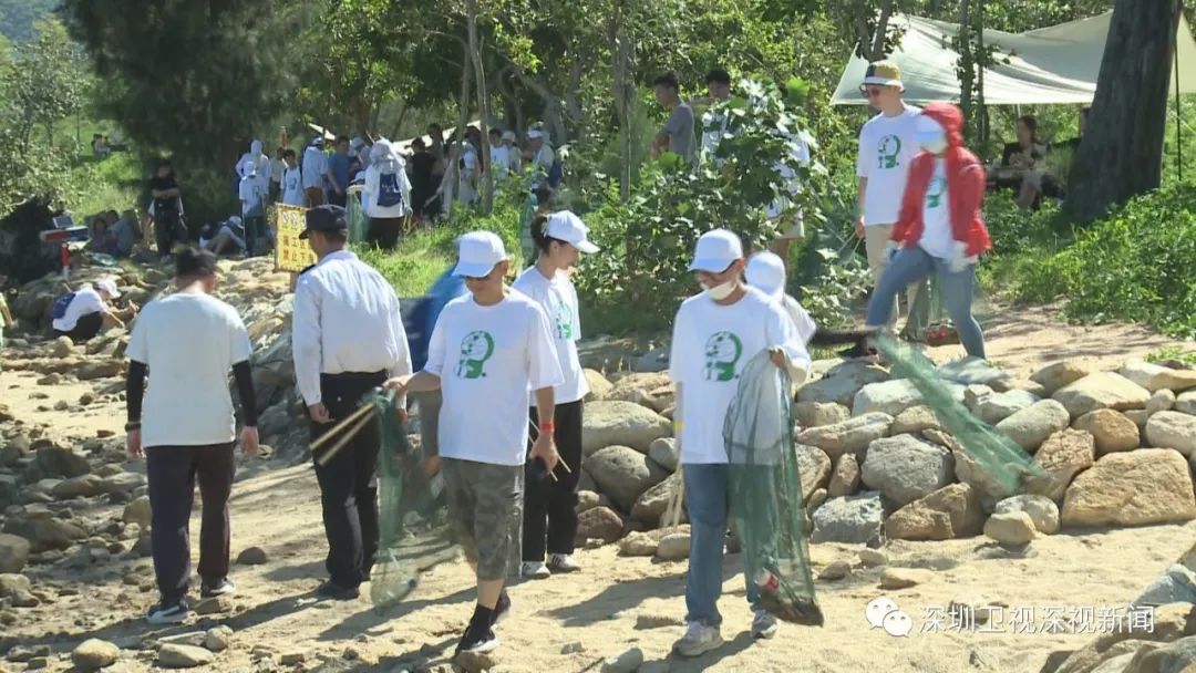 “深圳蓝”刷屏，背后不简单
