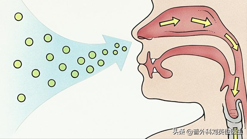 吃动物血排黑色大便是怎么回事,吃了动物血大便变黑是肺在排毒吗