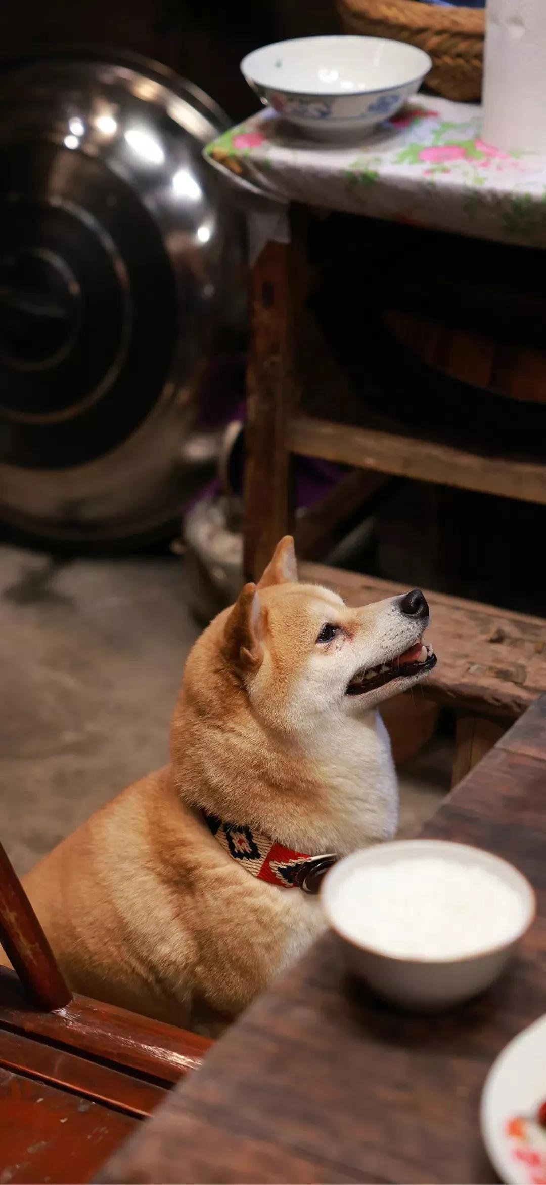 风生水起壁纸高清无水印,美女全屏无水印高清壁纸