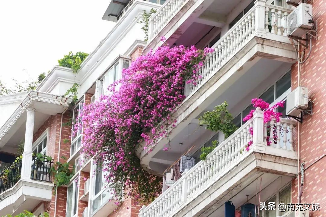 当南充美景遇上“多巴胺”这就是想象中夏天的样子！