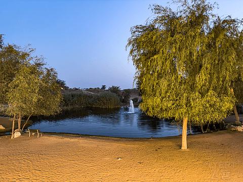 哈伊马角利兹卡尔顿,哈伊马角沙漠丽思卡尔顿酒店