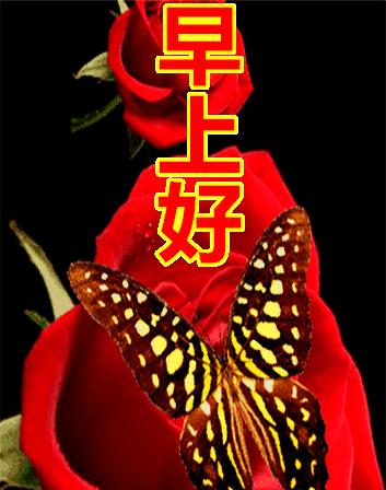 早安心语正能量语录简短句子图片,2020.12.9早安心语正能量走心语录