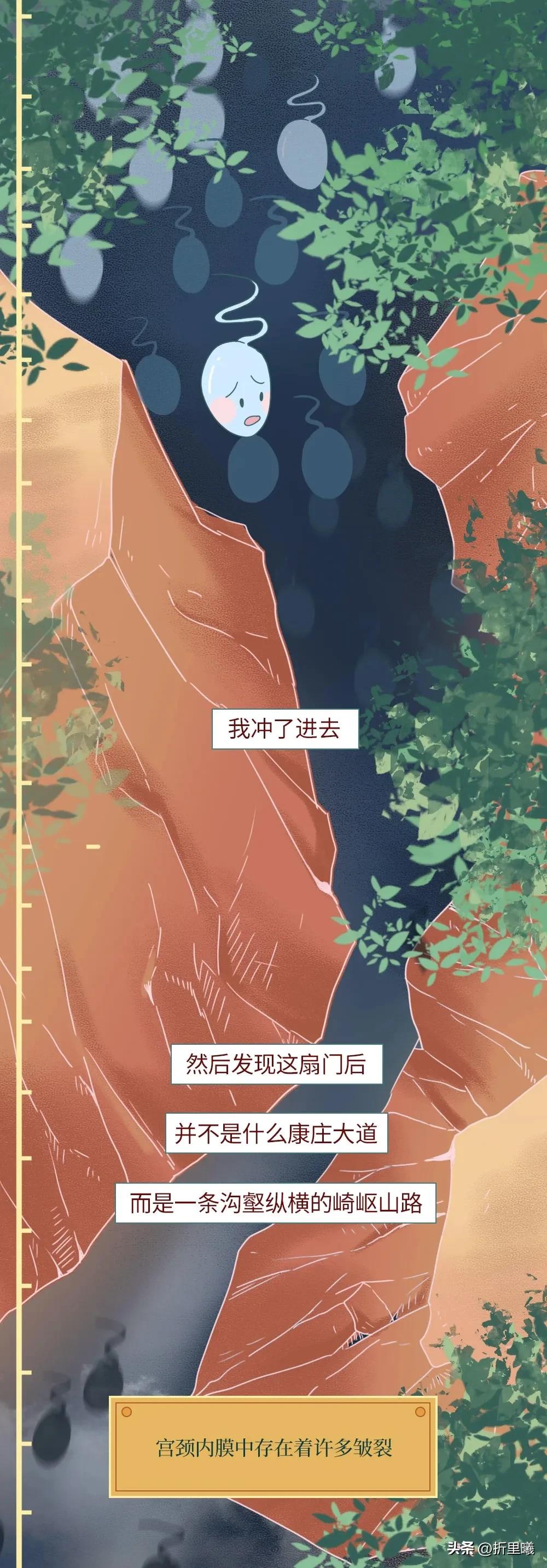 精子进入女生体内的24小时全过程曝光！