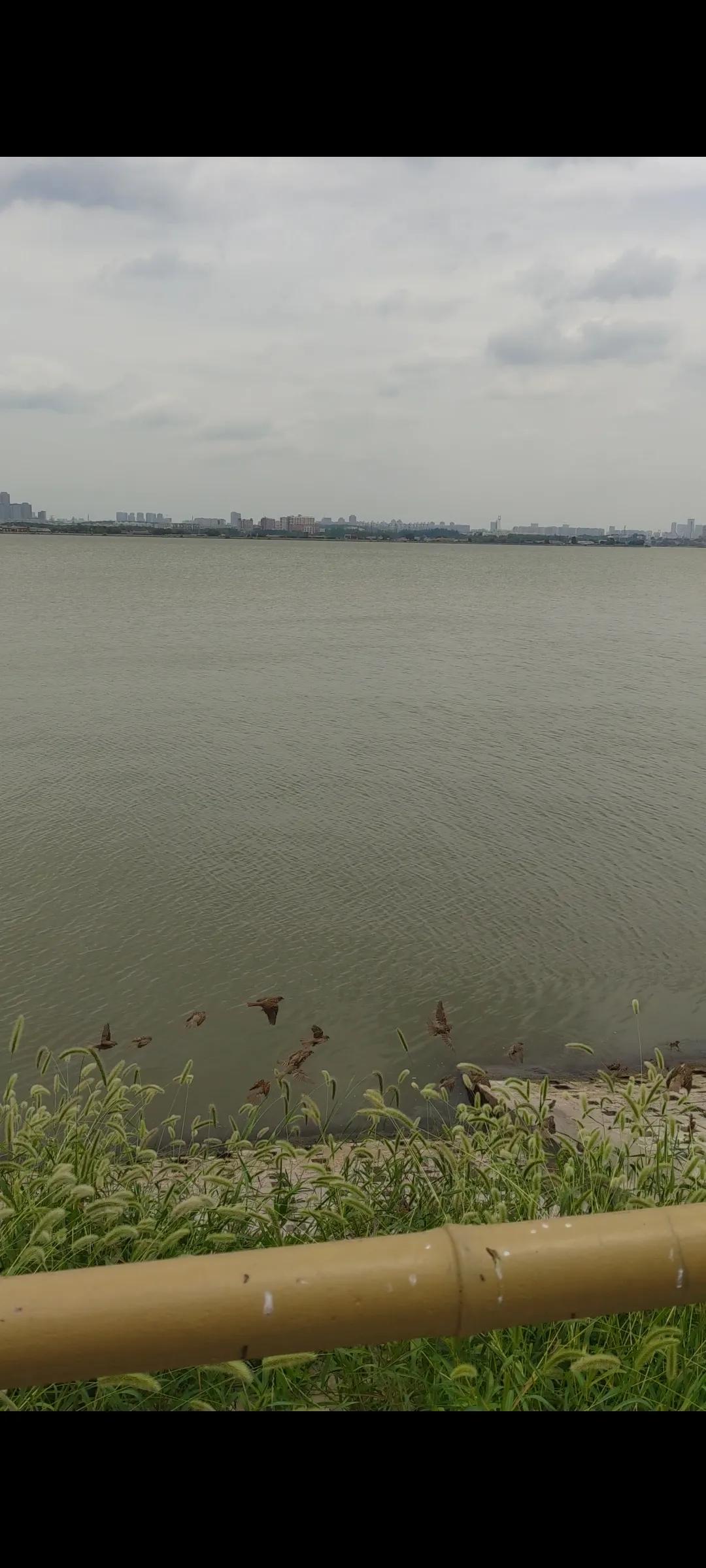 东方威尼斯江汉平原,东方威尼斯不要门票的欧洲小镇