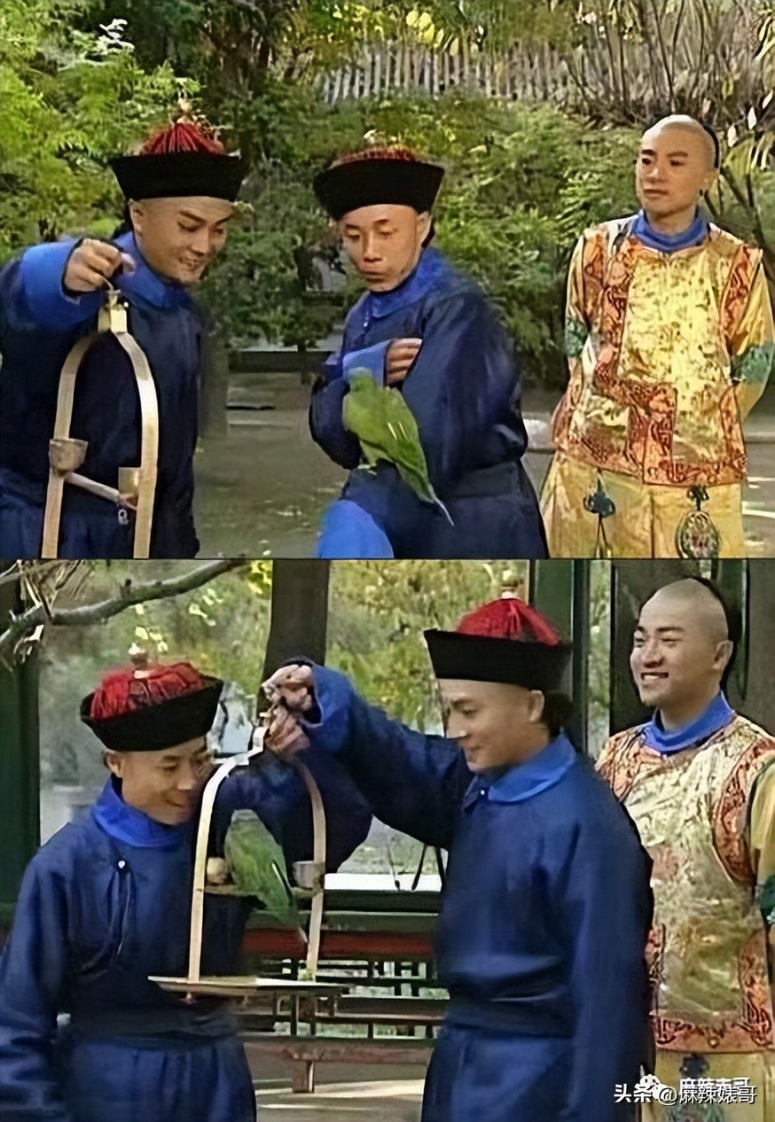 救命啊，这是在*辱侮**谁的智商？