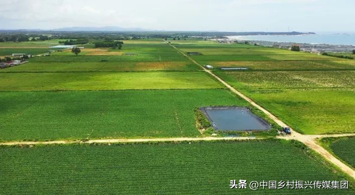 政府扶持乡村振兴的项目有哪些,2024乡村振兴政府补贴重点项目