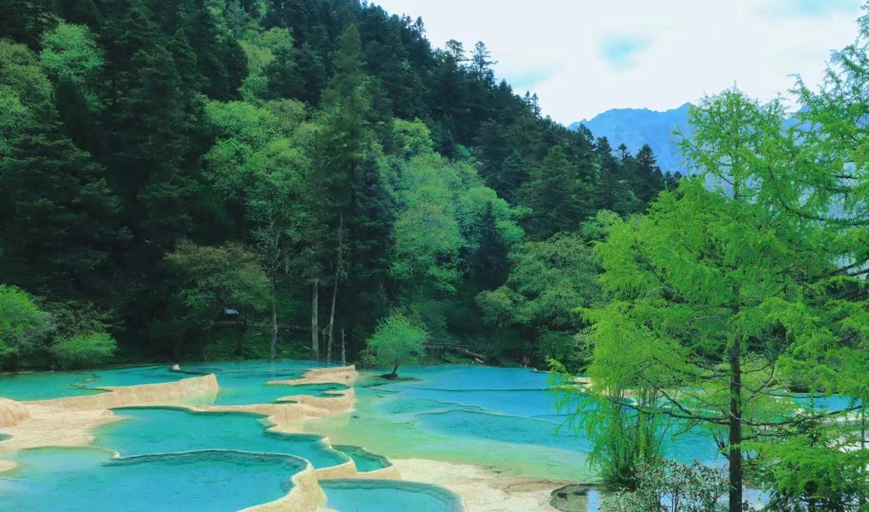 去四川旅游的真实感受,为什么去四川旅游最好