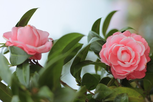 赚钱是最好的修行,赚钱是修行的最高境界吗