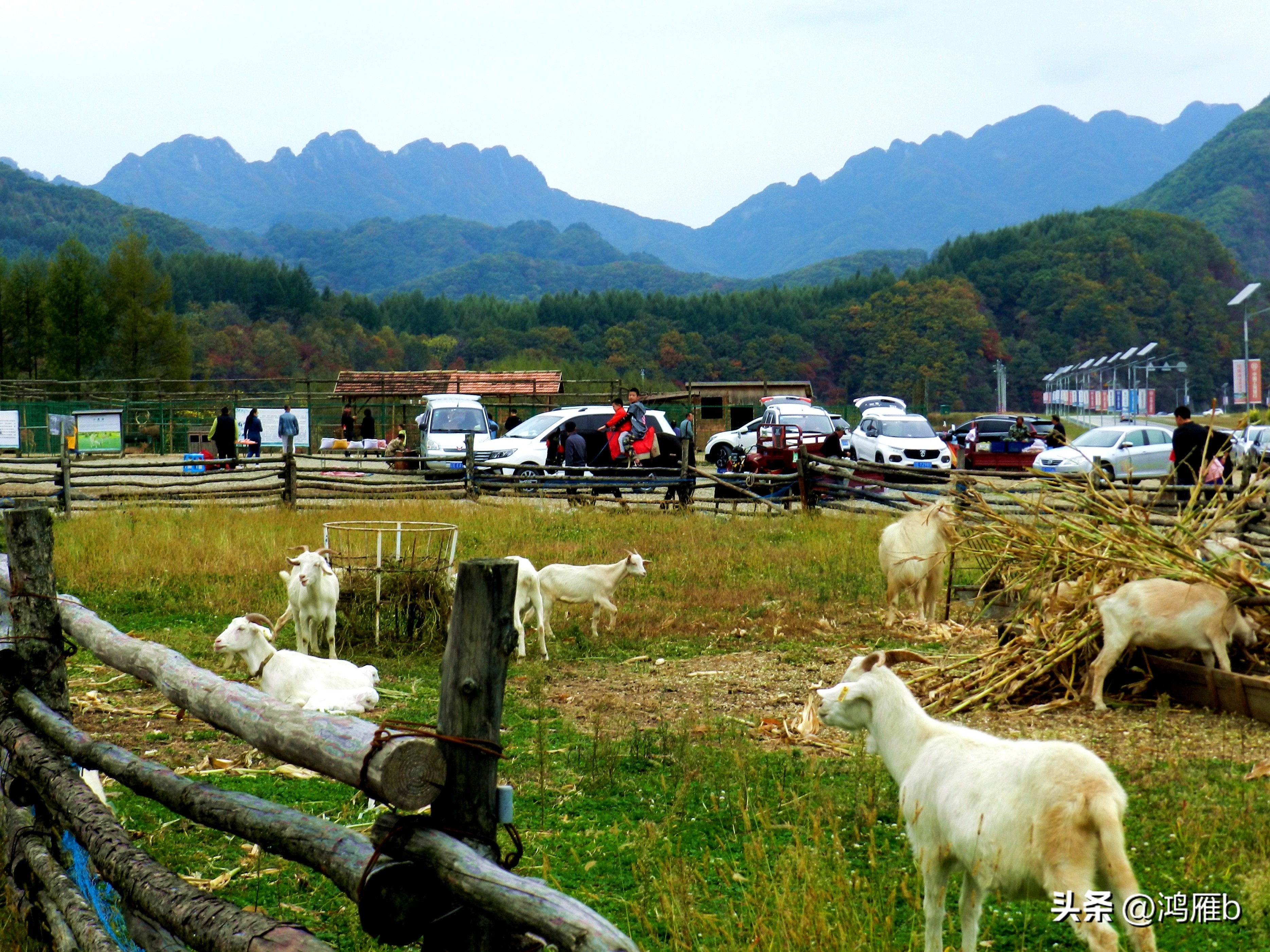 本溪温泉汤沟门票价格,本溪花溪沐枫雪温泉小镇