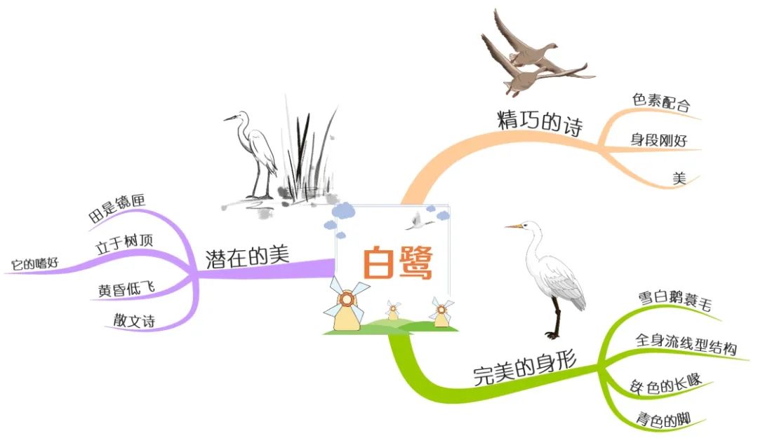 五上语文第一单元思维导图怎么画,思维导图语文五上第三单元