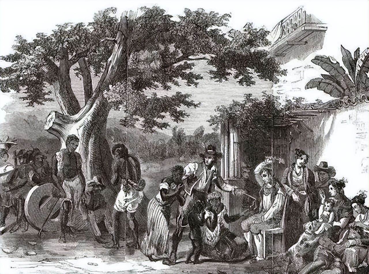 巴西为什么要移民,巴西为什么成为日本人的天堂