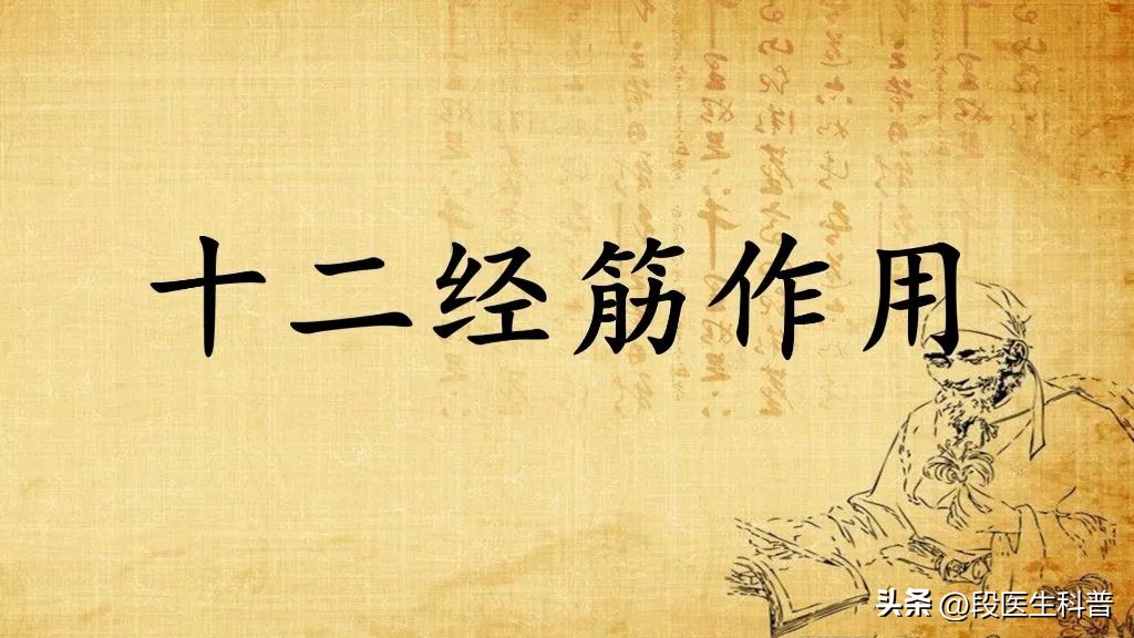 经络是由神经和血管组成的,人体经络具体作用有哪些