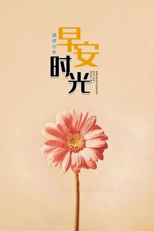 入秋天冷高情商早安语录,早安语录简短正能量天气冷