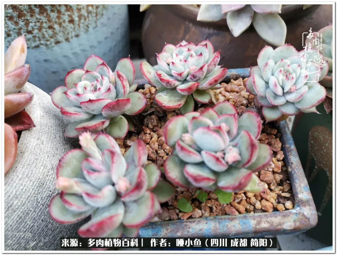 看世间繁华品一生,看世间繁华品人生美味