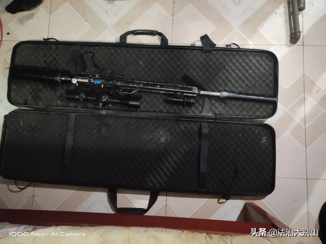 用气枪打野生动物会判有期徒刑吗,用气枪打野生动物判多少年