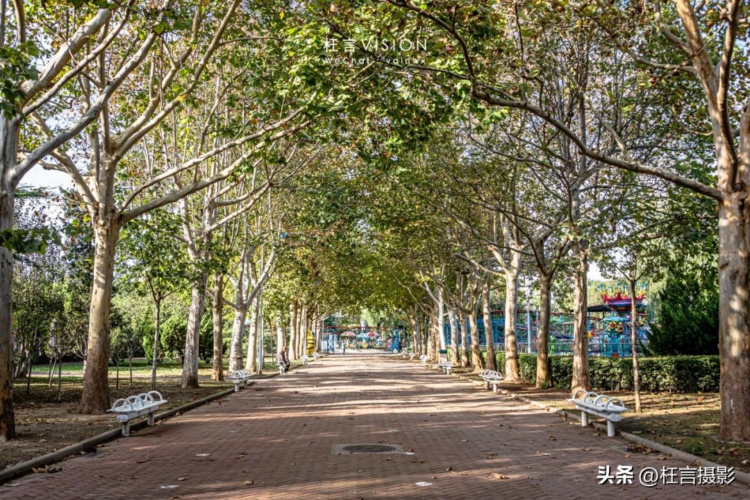 天津二宫关闭了么,天津二宫公园现在开放了吗