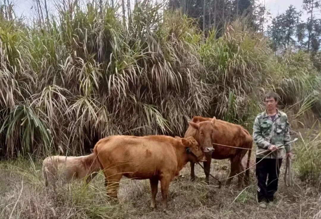 小额信贷贷出致富路,深耕农村小额信贷