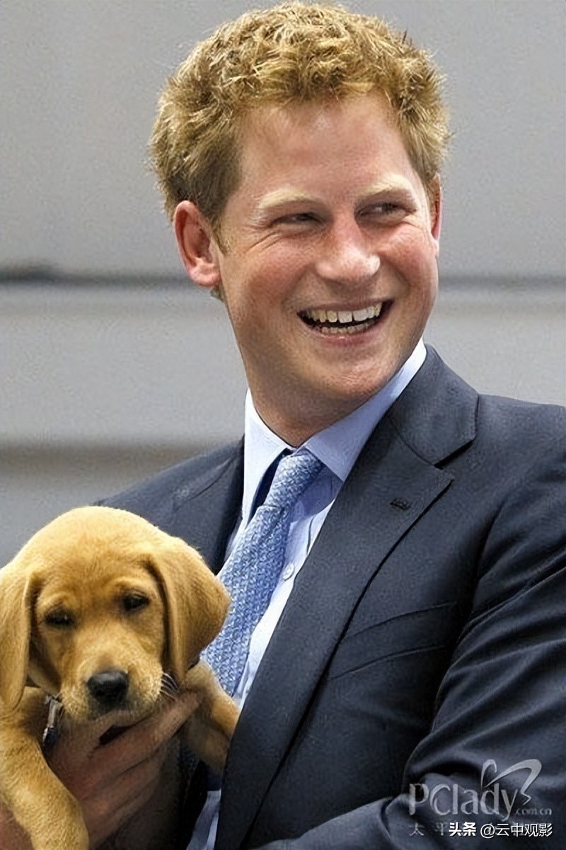 亨利与戴安娜法国,亨利王子主要内容