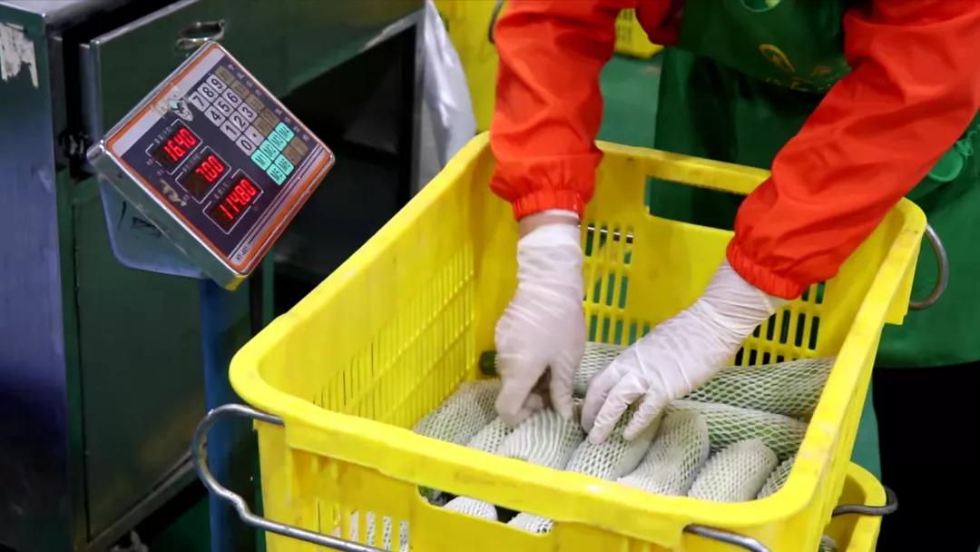 生鲜配送获客方案,获客精准度差怎么办