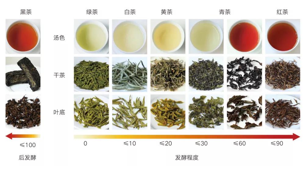 怎么避免买茶踩坑,买茶如何不被坑