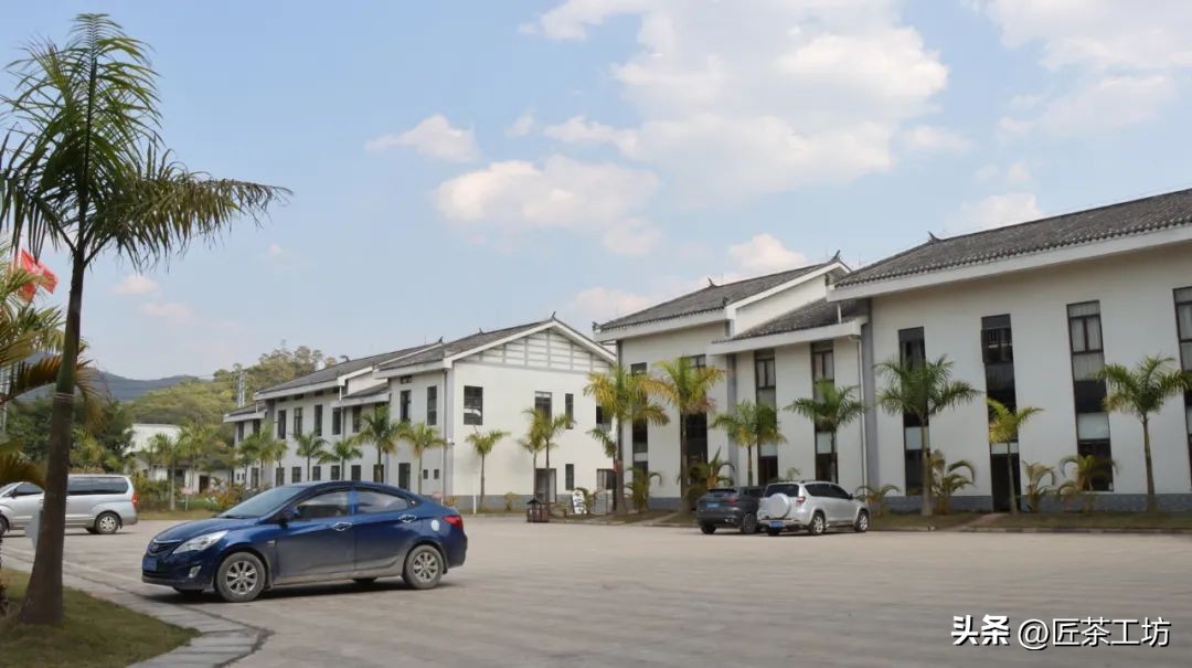 华普昌丨探索普洱茶高端品质，开启茶行业华丽篇章！