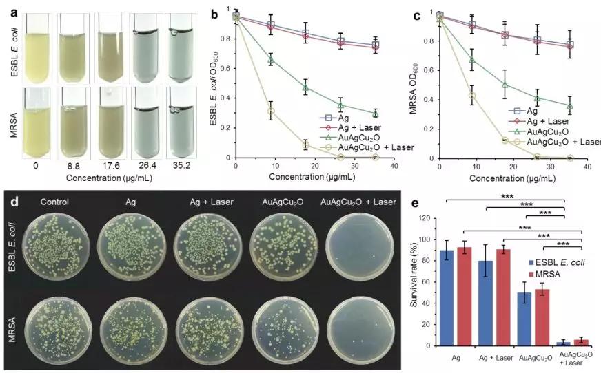 罗非鱼感染嗜水气单胞菌怎样治疗,罗非鱼病毒