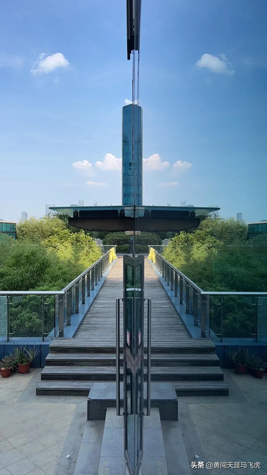 钱塘为伴同君悦日出江花似火红——东方君悦江河汇景观公寓