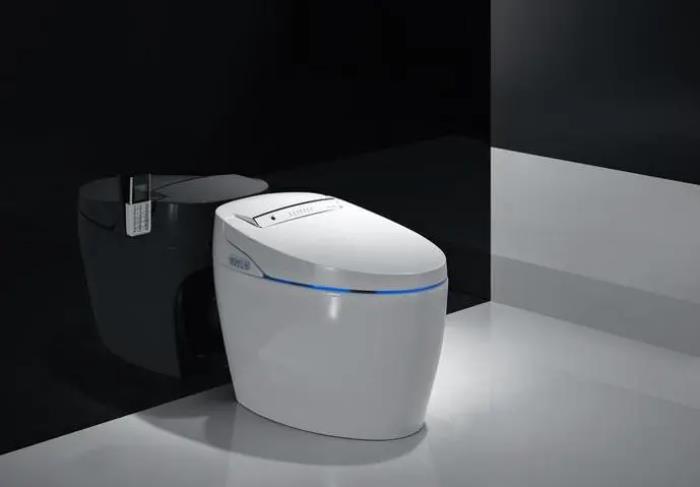 智能马桶增压泵品牌十大排名,专业生产智能马桶十大品牌