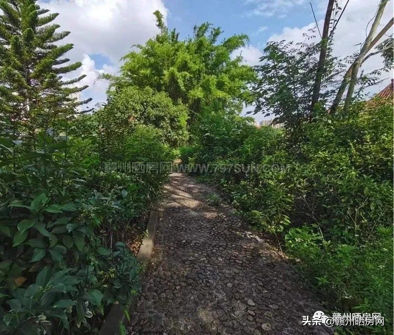 赣州万达附近的小区有哪些,赣州万达广场别墅