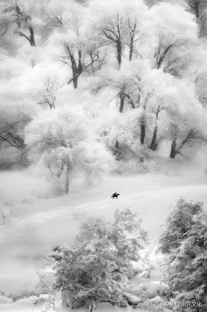田氏文化,田氏宗亲文化传播