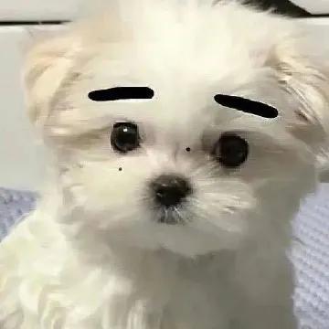 土象星座爱情运,太阳天蝎月亮摩羯上升金牛性格