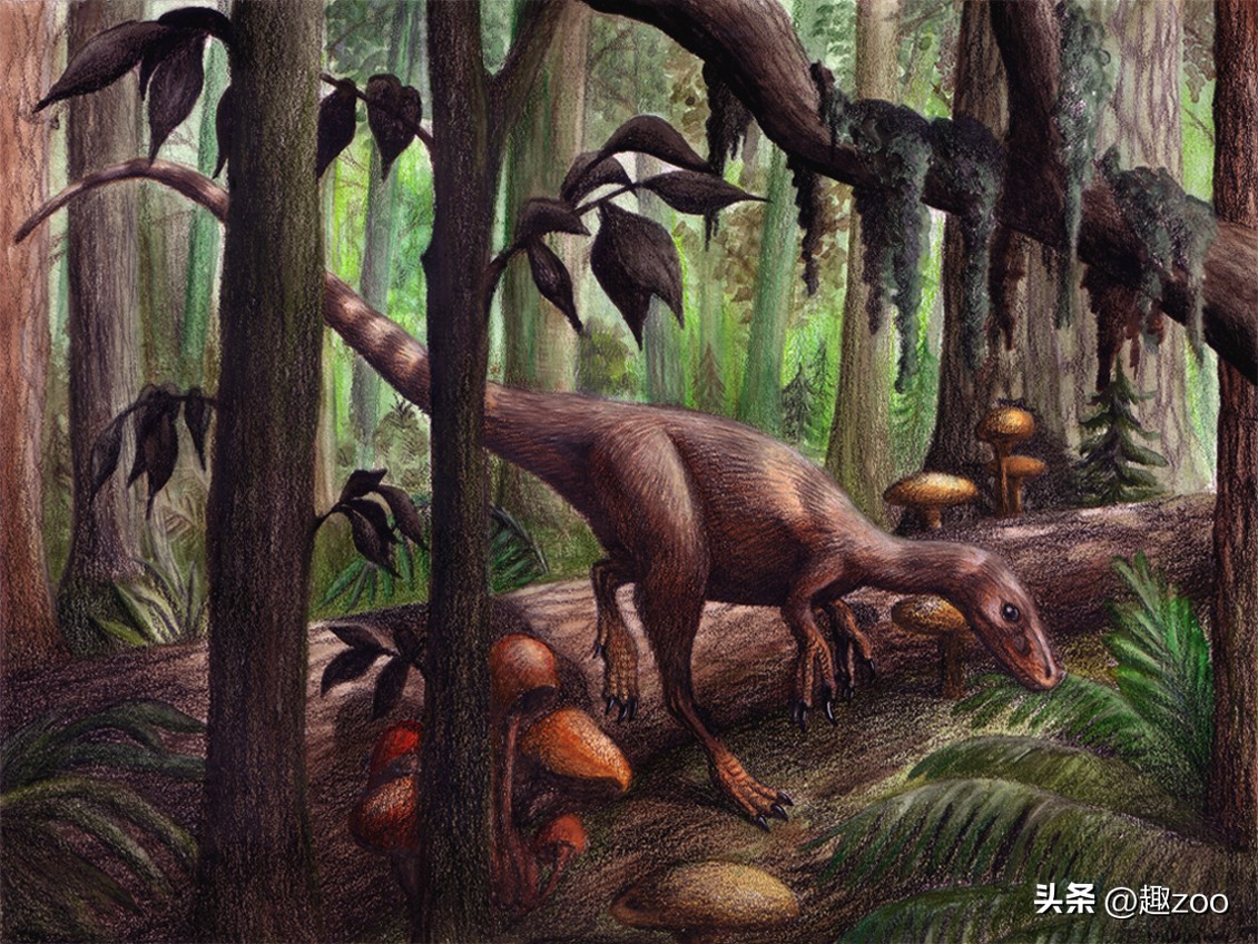 世界上有哪些著名的恐龙化石,世界十大恐龙巨龙排名