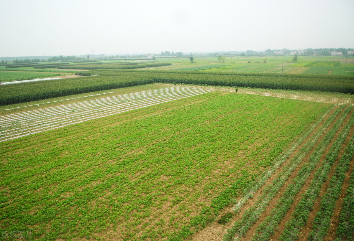 深圳回迁房价格一览表,深圳回迁房指标可以买卖吗