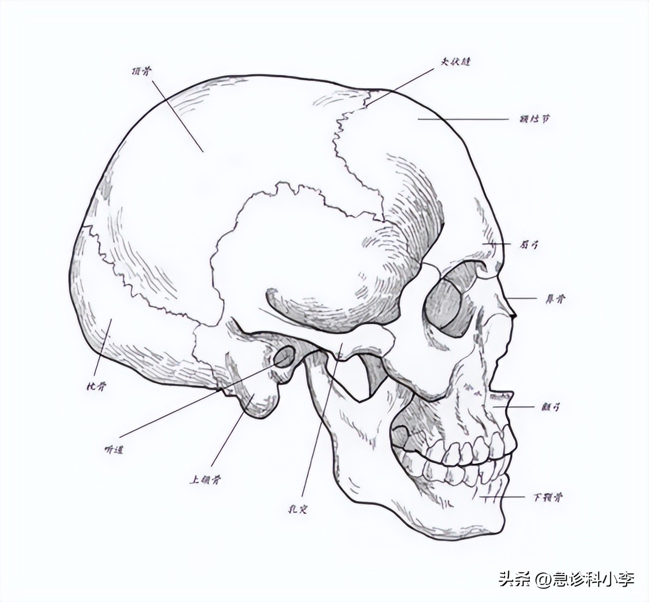 儿童得了脑胶质瘤最多活几年,脑胶质瘤患者的真实就医经历