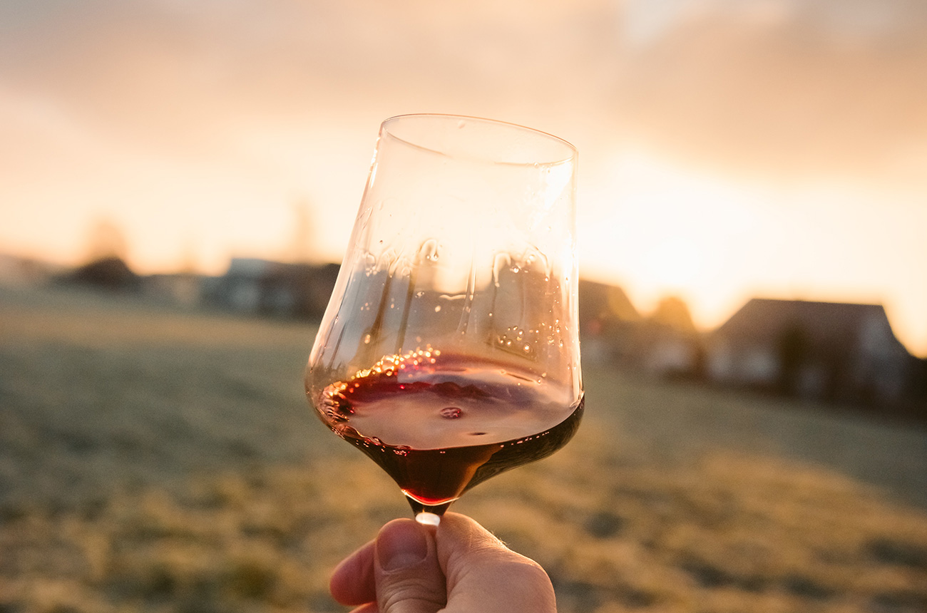 每天认识一种水果,每天认识一件国宝