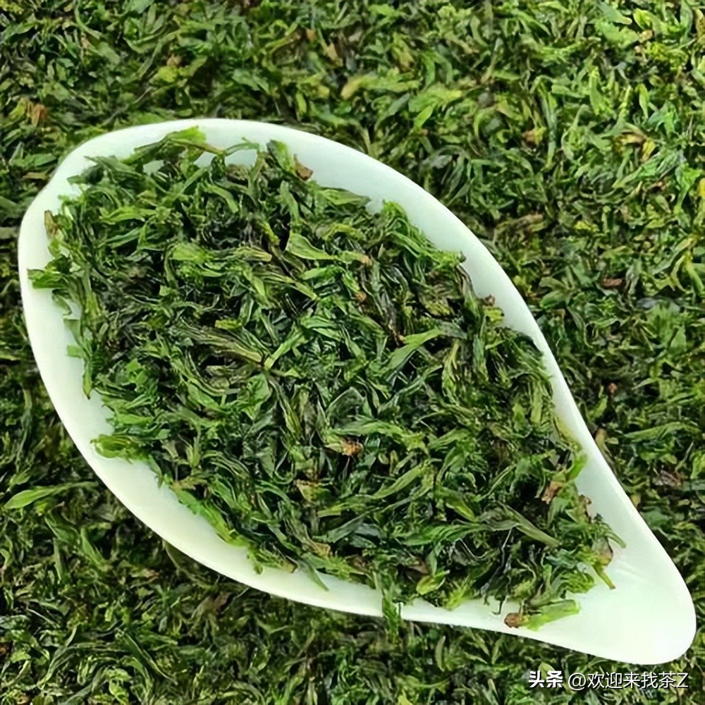 315茶叶骗局揭秘视频,现在买茶的新骗局是什么